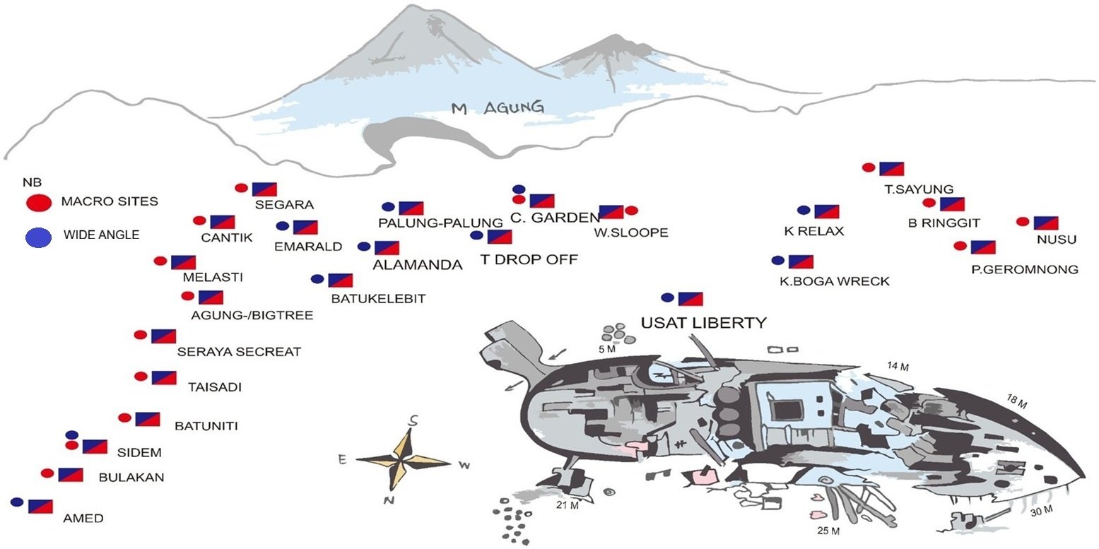 Liberty Dive Resort Dive Sites Map